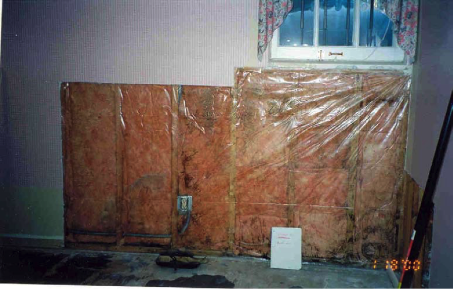 The polyethylene sheeting installed over batt insulation in this basement wall acted as a Class I vapor retarder, trapping water vapor from the concrete foundation wall, which condensed in the wall cavity providing a breeding ground for mold.