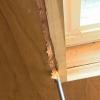 Application of window and door nonexpanding foam sealant