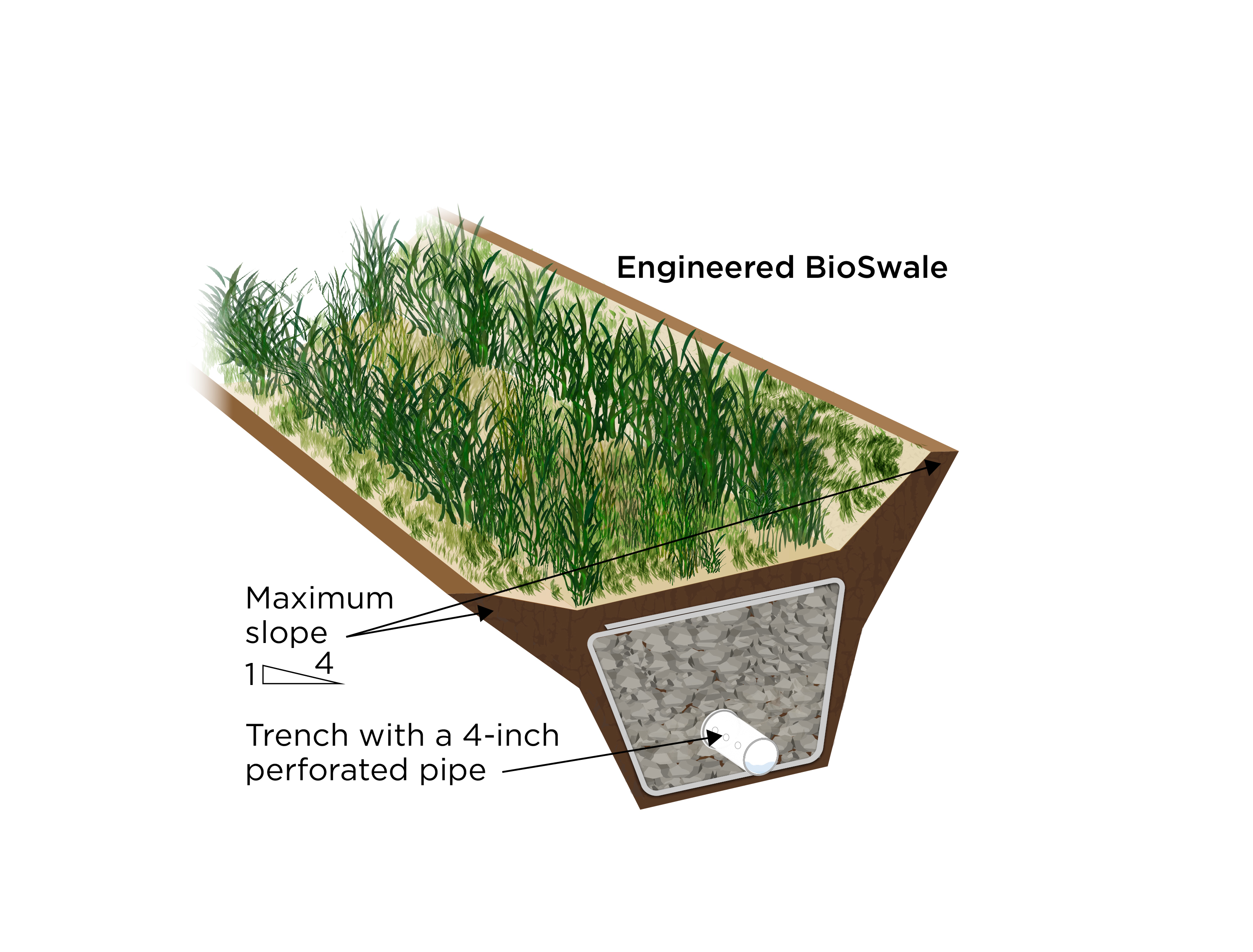 An engineered bioswale uses perforated pipe laid in rock and landscape fabric at the bottom of a vegetated trench to direct water away from a site.