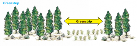 A green strip is a type of fuel break planted with less flammable vegetation; e.g., crested wheatgrass.