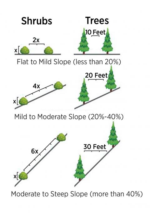 The minimum horizontal clearance needed between trees and shrubs to increase wildfire resistance increases with slope.