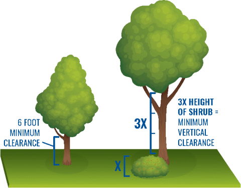 Minimum vertical clearances needed between trees and the ground or shrubs to reduce the spread of wildfires.