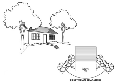 In cooler climates, landscape shading should focus on the east- and west-facing walls, while leaving the south side of the house clear for solar access in winter