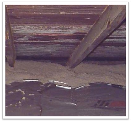 Photo showing mold on sheathing after weatherization methods were applied.
