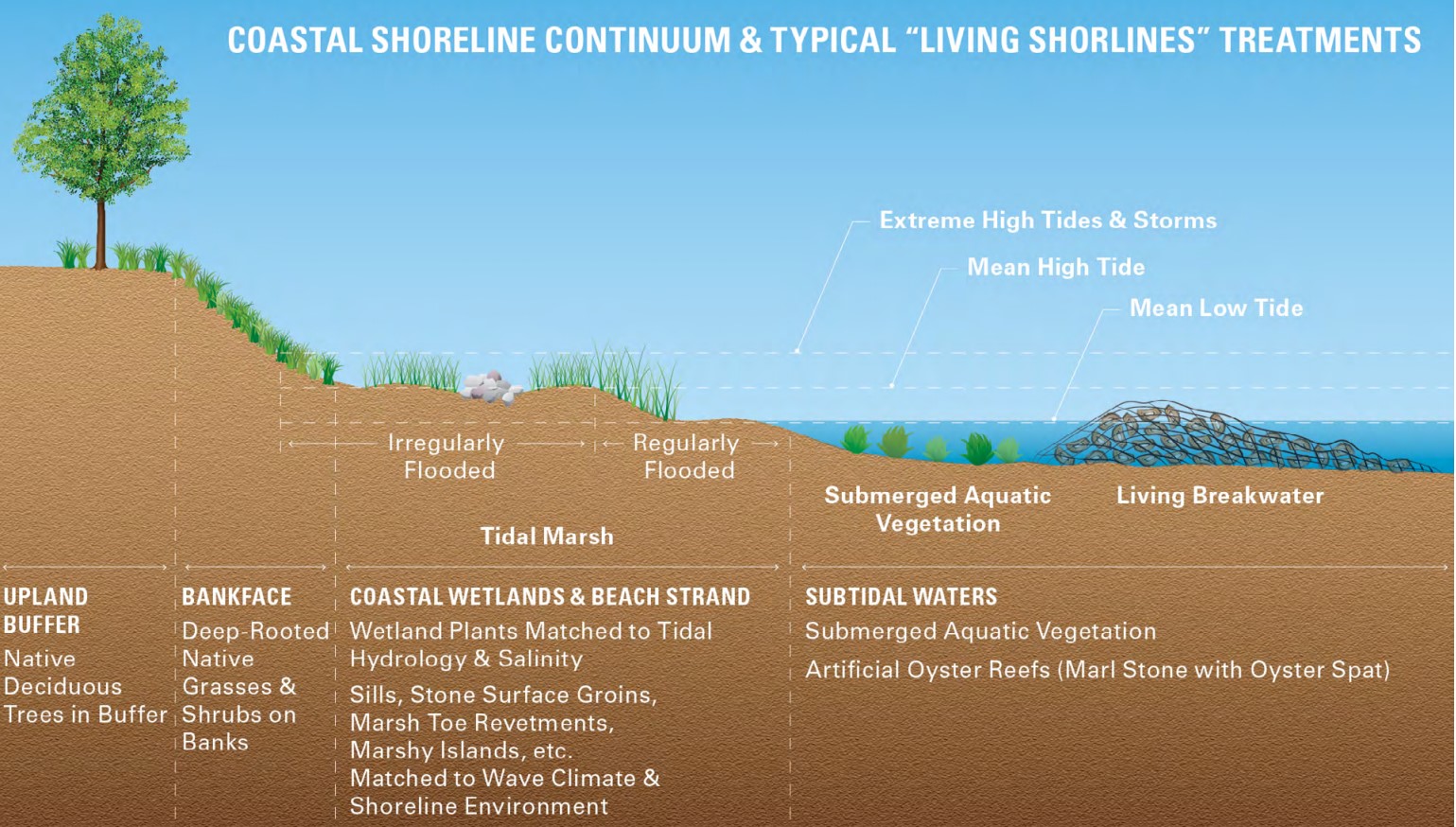 Erosion Control for Slopes, Stream Banks, and Dunes | Building America ...