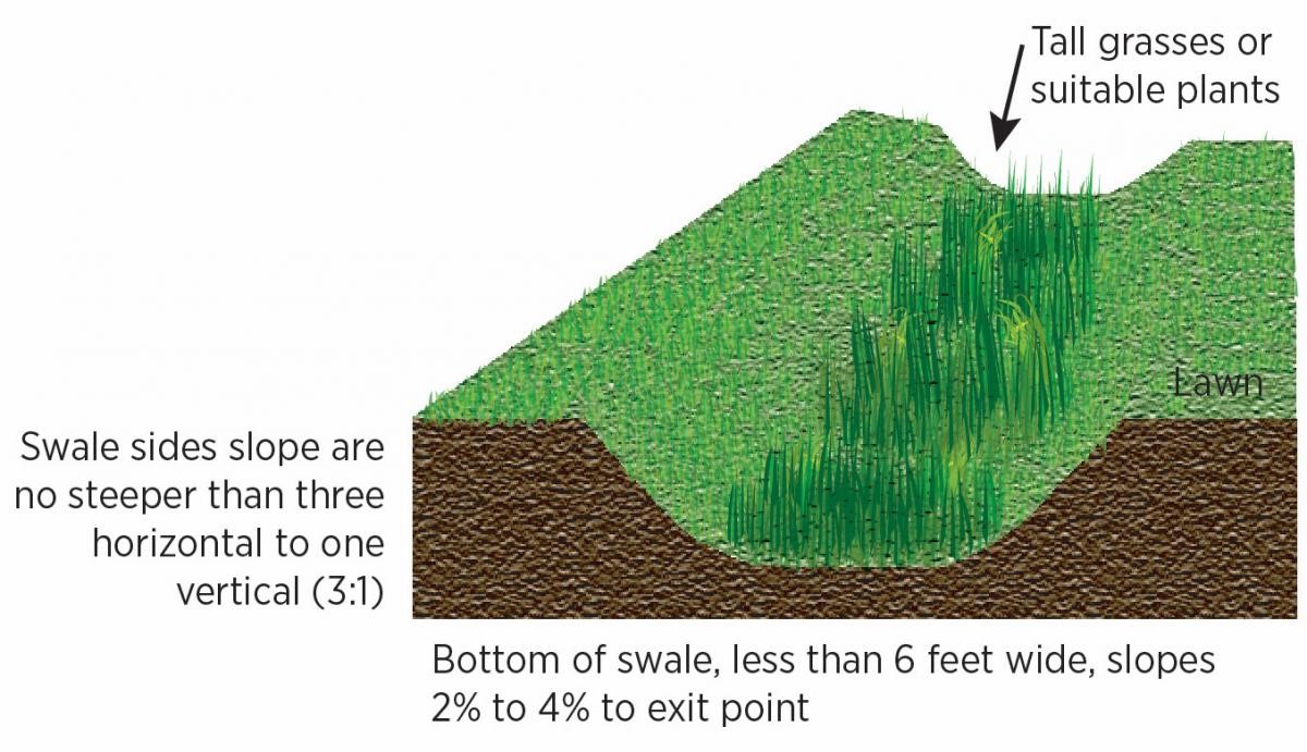 Swales are trapezoidal channels dug to receive storm-water overflow, with specific vegetation planted to improve aesthetics, filter stormwater runoff, and prevent erosion.