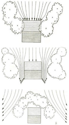 Trees and hedges can be used to funnel or deflect prominent winds