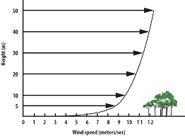 Wind speeds increase significantly with height above ground