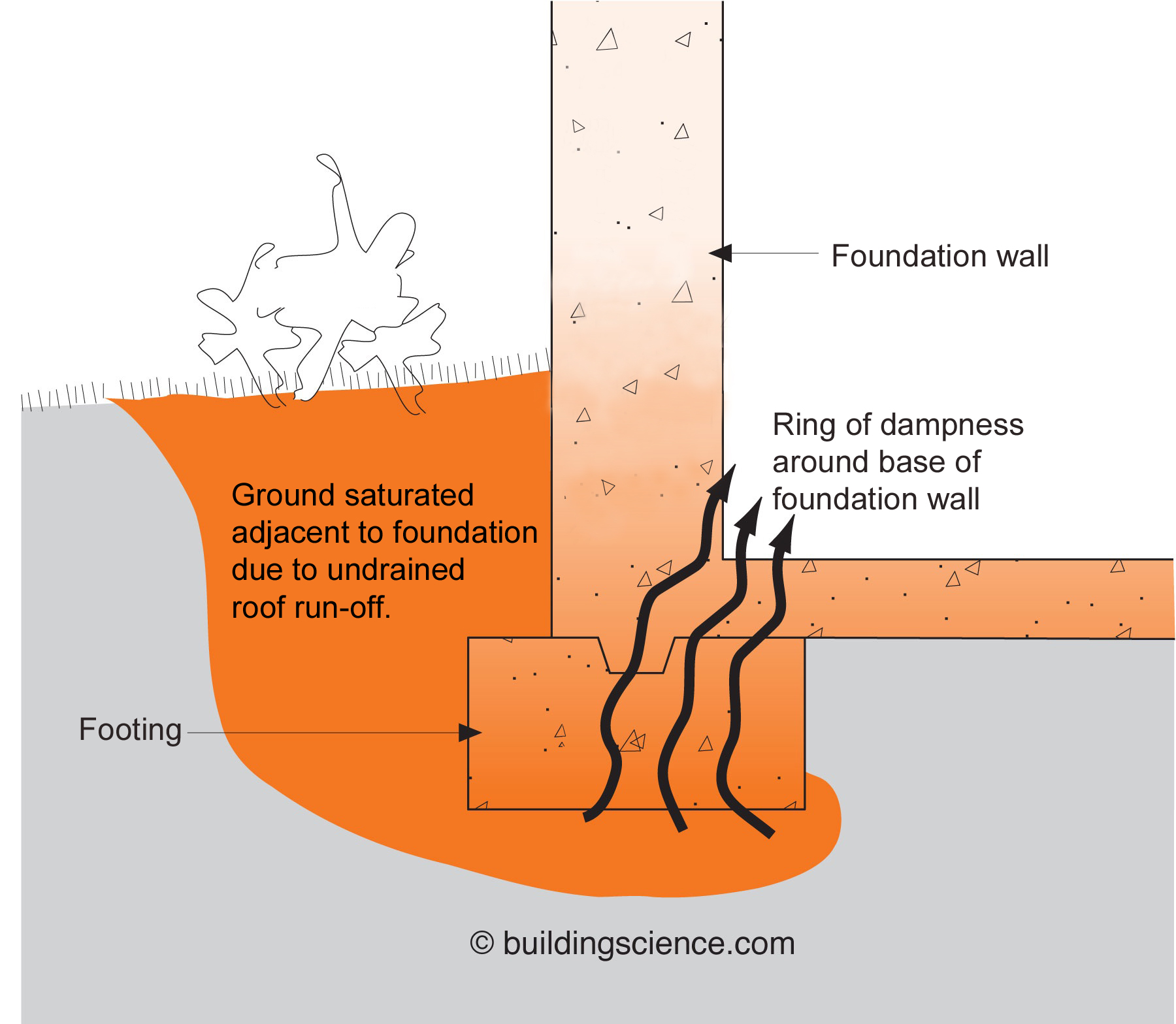 Saturated ground water. If not drained away from the house, the sheer volume of the water coming off a roof can quickly saturate the soil and wick through the foundation into the interior of a building.