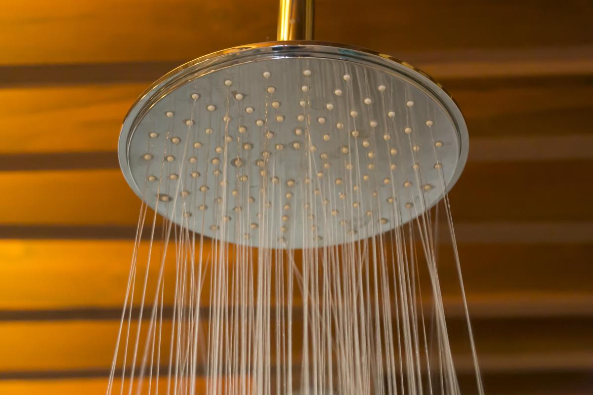 Large bathroom showerhead.