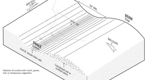 A swale and berm can be installed together across a slope to slow the downhill flow of water.