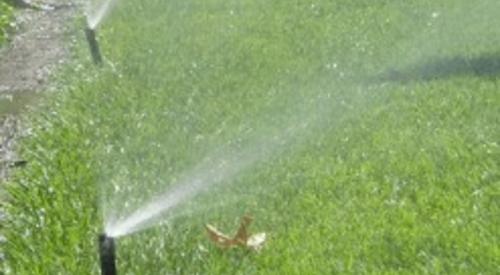 Place plants at least 18 inches from the building's walls and foundation and direct irrigation water to spray away from the structure.