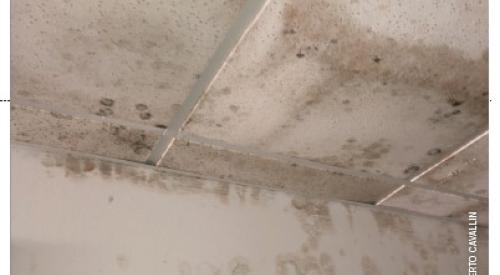 Wrong - Leaks in the roof sheathing can allow water to get in and wet the drywall, providing fertile ground for mold.