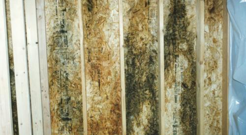 Mold on OSB sheathing