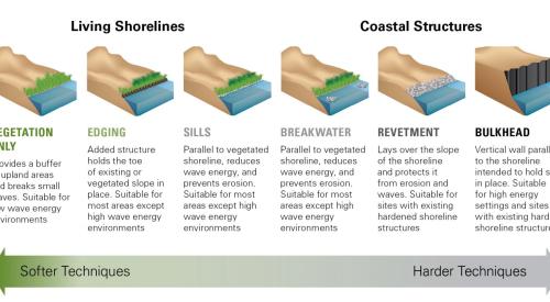 A continuum of green (soft) to grey (hard) shoreline stabilization techniques used to mitigate the effects of erosion