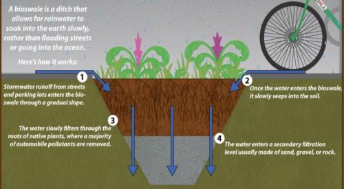 Swales are troughs that collect site stormwater and filter it with vegetation, soil, and gravel layers. 
