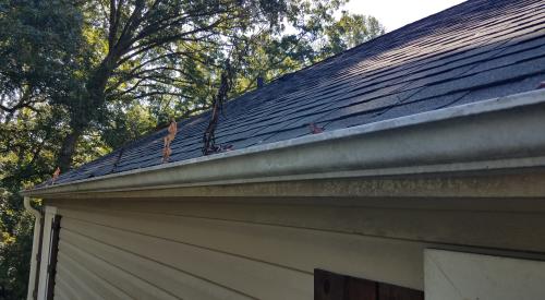 Wrong - Trees are overhanging and touching the roof and debris has collected in the gutters.