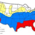 Termite Probability Map