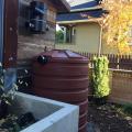 Rain barrels and cisterns collect rainwater for landscape irrigation.
