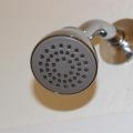 Right – EPA WaterSense-rated low-flow showerheads reduce water and energy usage compared to standard showerheads.