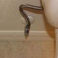 Right – An escutcheon is installed on this toilet tank pipe to help air seal around the pipe and prevent pest entry.