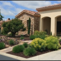 Mulch can provide many benefits to a landscape.