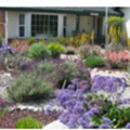 Mulch can reduce erosion and help retain moisture.