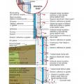 Complete water management strategy for a below-grade wall 