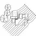 Locating windows on adjacent and opposite sides of the house will allow cross ventilation regardless of wind direction