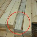 The board in the center of this photograph shows blue stain (not lumber mold), a discoloration of the wood caused by a fungus affecting the living tree, which did not harm the structural integrity of the wood.