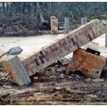 The brick house foundation piers on discrete footings (in the foreground) failed by rotating and overturning while the piers set in the concrete mat survived Hurricane Katrina. 