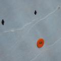 Cap nail securing a weather-resistant barrier