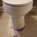 Wrong - Cardboard should be removed from under toilet base.