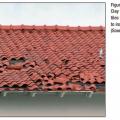 Wrong – These clay roof tiles were dislodged by high winds due to inadequate anchorage.