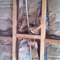 Wrong - Craft faced batt insulation is not cut to fit  around PEX plumbing pipe.