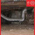 Dryer exhaust line terminates in the crawlspace