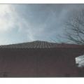 Failure of "S" tile roofing in high winds due to bond failure between mortar and tiles.