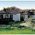 A gable end failure due to improper bracing caused collapse of most of the trusses on this roof under hurricane force wind conditions. 