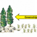 A green strip is a type of fuel break planted with less flammable vegetation; e.g., crested wheatgrass.