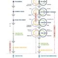 The Integrated Design Process loops in design input at every stage of development 