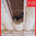 Wrong - Insulation does not fill entire cavity leading to heat losses.