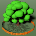 When preserving a tree, construct a temporary fence around the tree canopy and post signs to keep out vehicles that might compact soil and construction waste that could contaminate the soil.