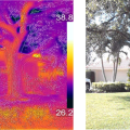 The thermal image on the left and normal picture on the right show the cooling effect of a shade tree on walls and ground surfaces as compared to unshaded areas of the property (darker colors are cooler while lighter colors are hotter in the left image).