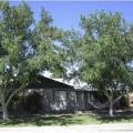 Large deciduous trees provide heat-blocking shade to the walls and windows of this house.