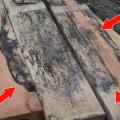 Do not install lumber, plywood, or other building materials that show visible signs of water damage or mold.