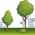 Minimum vertical clearance between trees and plants for wildfire resistance