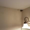 Wrong - Cold spots along the top plate combined with lack of ventilation have encouraged mold growth along this bathroom ceiling.