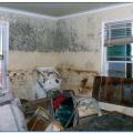 When flood waters reach living areas, the resulting mold and contamination can greatly increase clean up time and costs. 