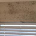 Wrong - Lack of insulation in the wall above this window combined with poor bathroom ventilation has contributed to mold growth.