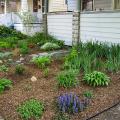 Right - Mulch covers the empty spaces in this garden, retaining moisture, moderating temperatures, and providing nutrients as it decomposes.